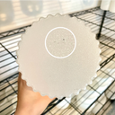 Frosted Barrel Blemish Table Lamp - Terra Labs