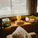 Oppi Table Lamp - Terra Labs