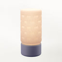 Liunk Blemish Table Lamp - Terra Labs