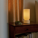 Wub + Stance Table Lamp - Terra Labs