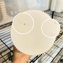 Liunk Blemish Table Lamp